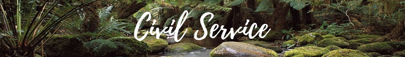 Mason County Civil Service Page Banner