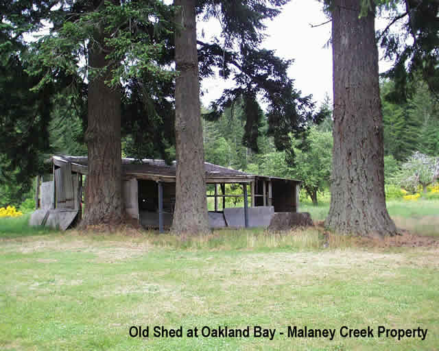 Oakland Bay - Malaney Creek - Shed