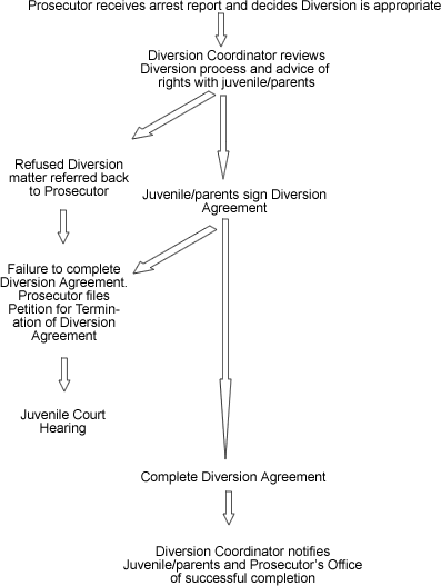 Juvenile Diversion Flow Chart